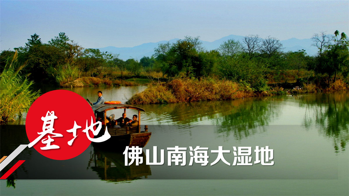 佛山南海大濕地金沙灘戶外拓展基地 佛山南海大濕地金沙灘戶外拓展基地